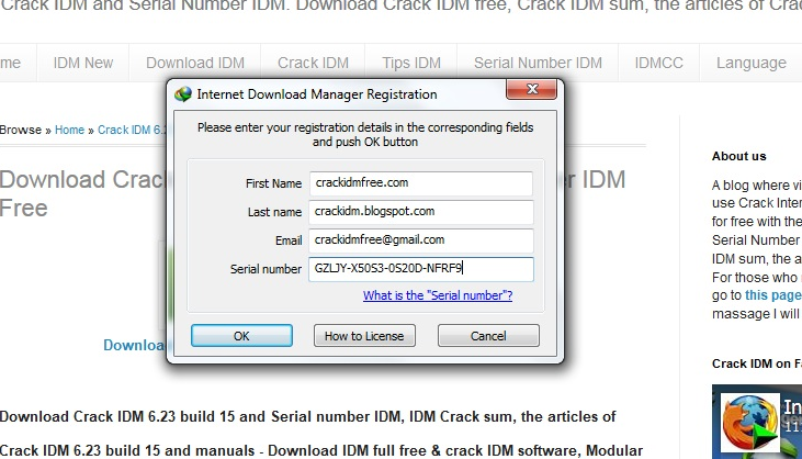 idm crack download only